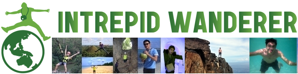Intrepid Wanderer